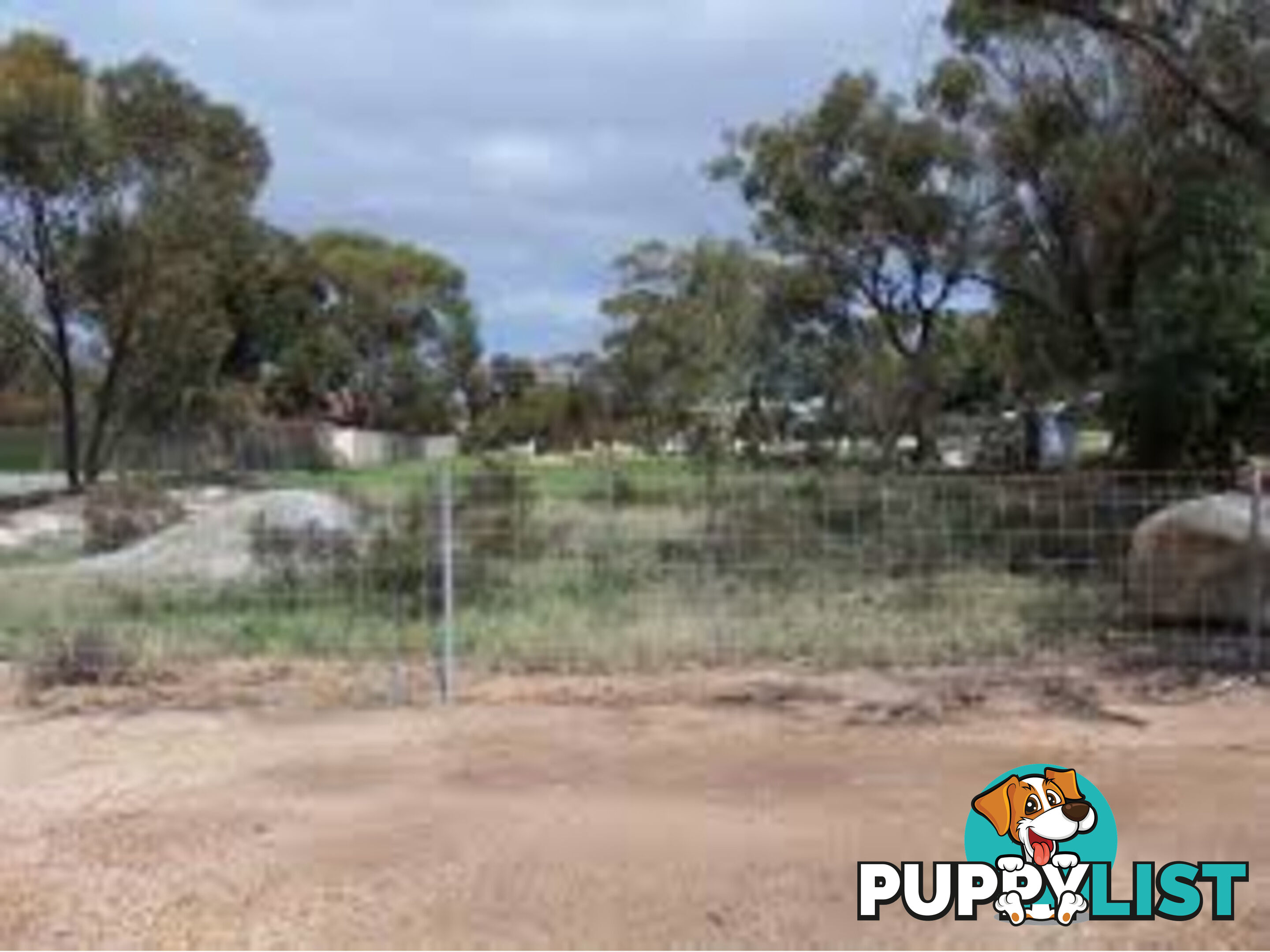 34 Egeberg Street Cunderdin WA 6407