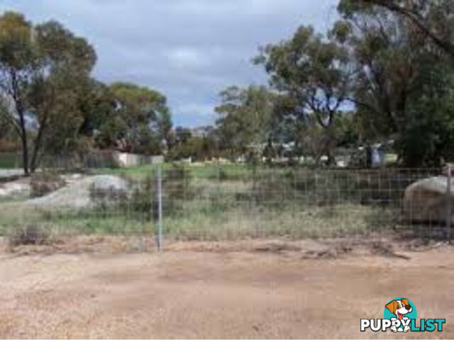 34 Egeberg Street Cunderdin WA 6407