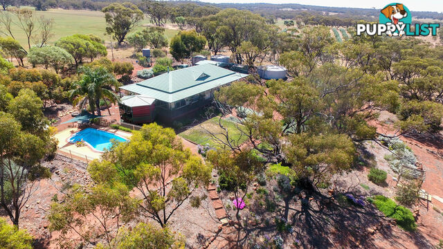 1611 Irishtown Road Toodyay WA 6566