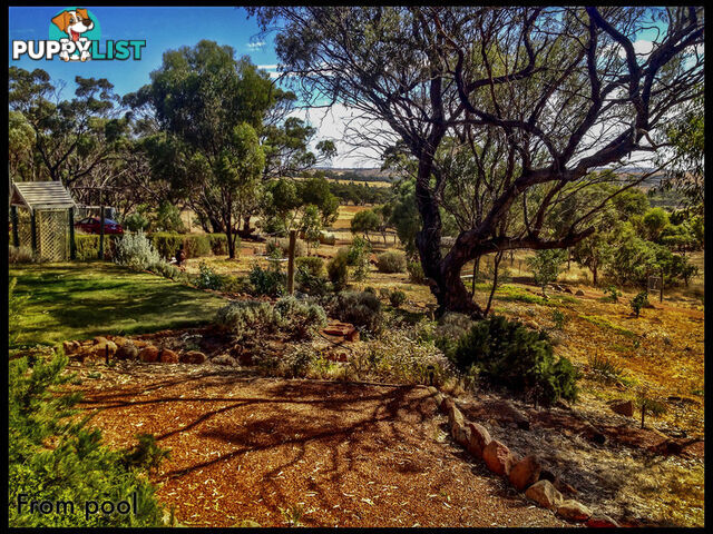 1611 Irishtown Road Toodyay WA 6566