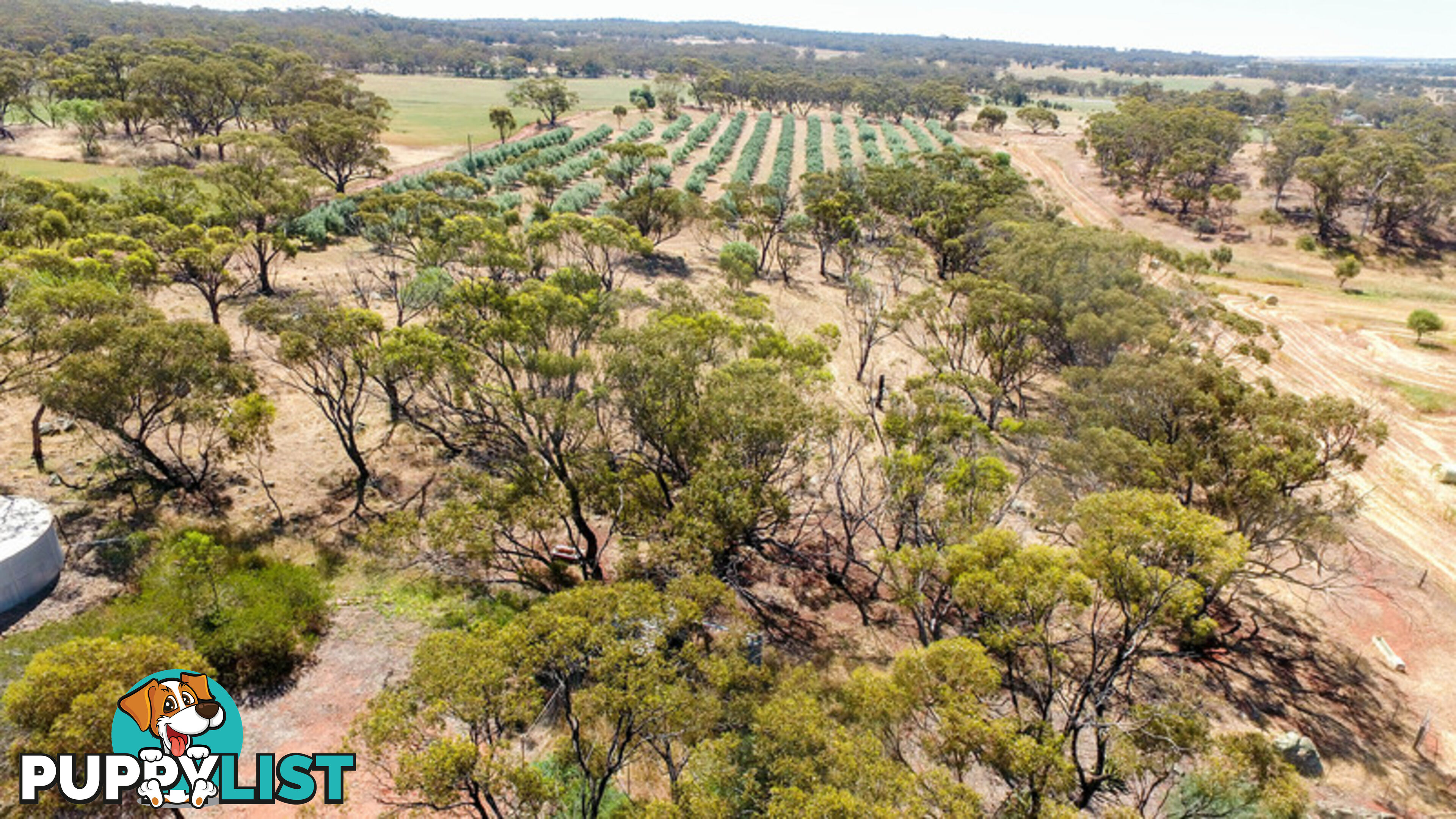 1611 Irishtown Road Toodyay WA 6566