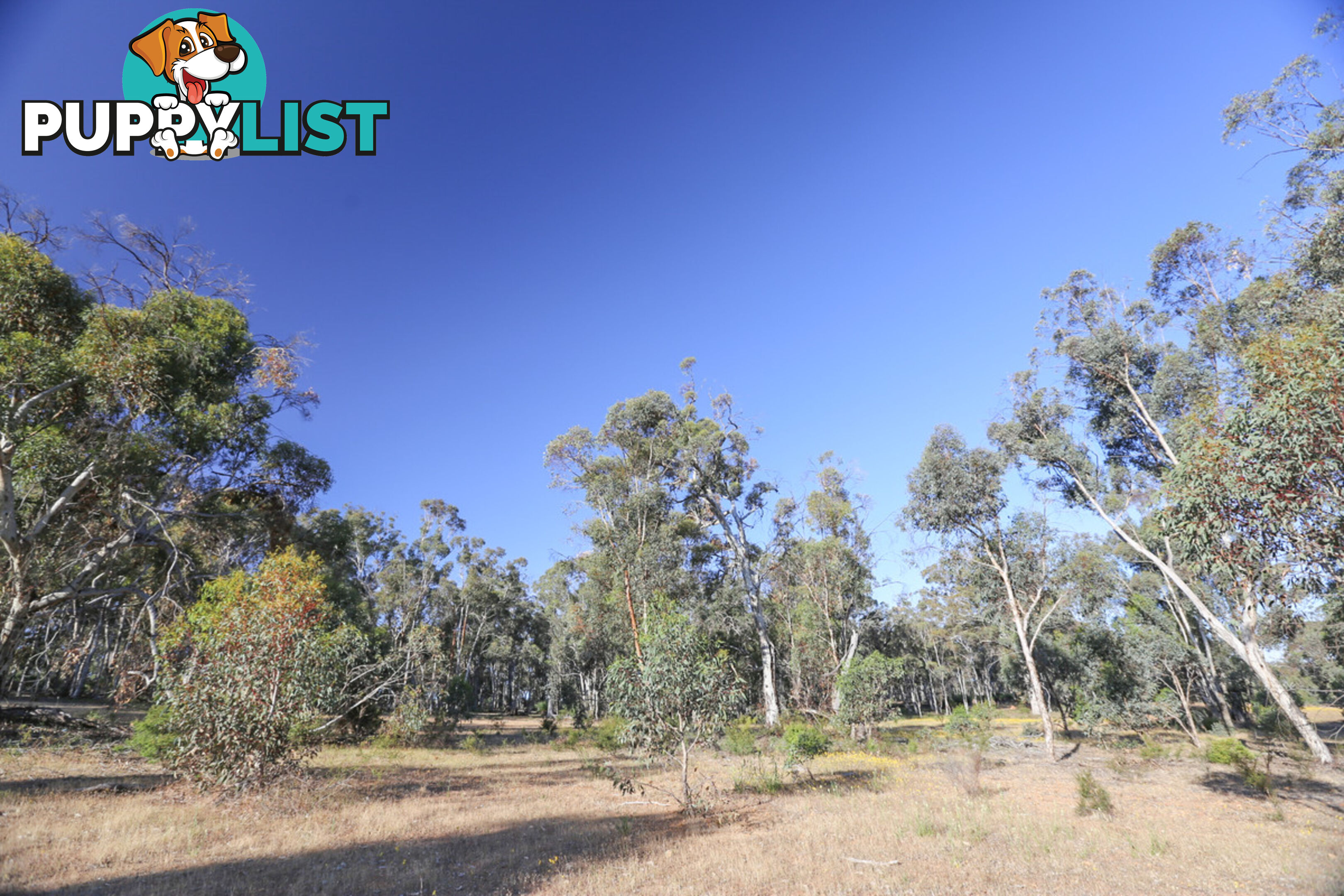 1076 Julimar Road West Toodyay WA 6566