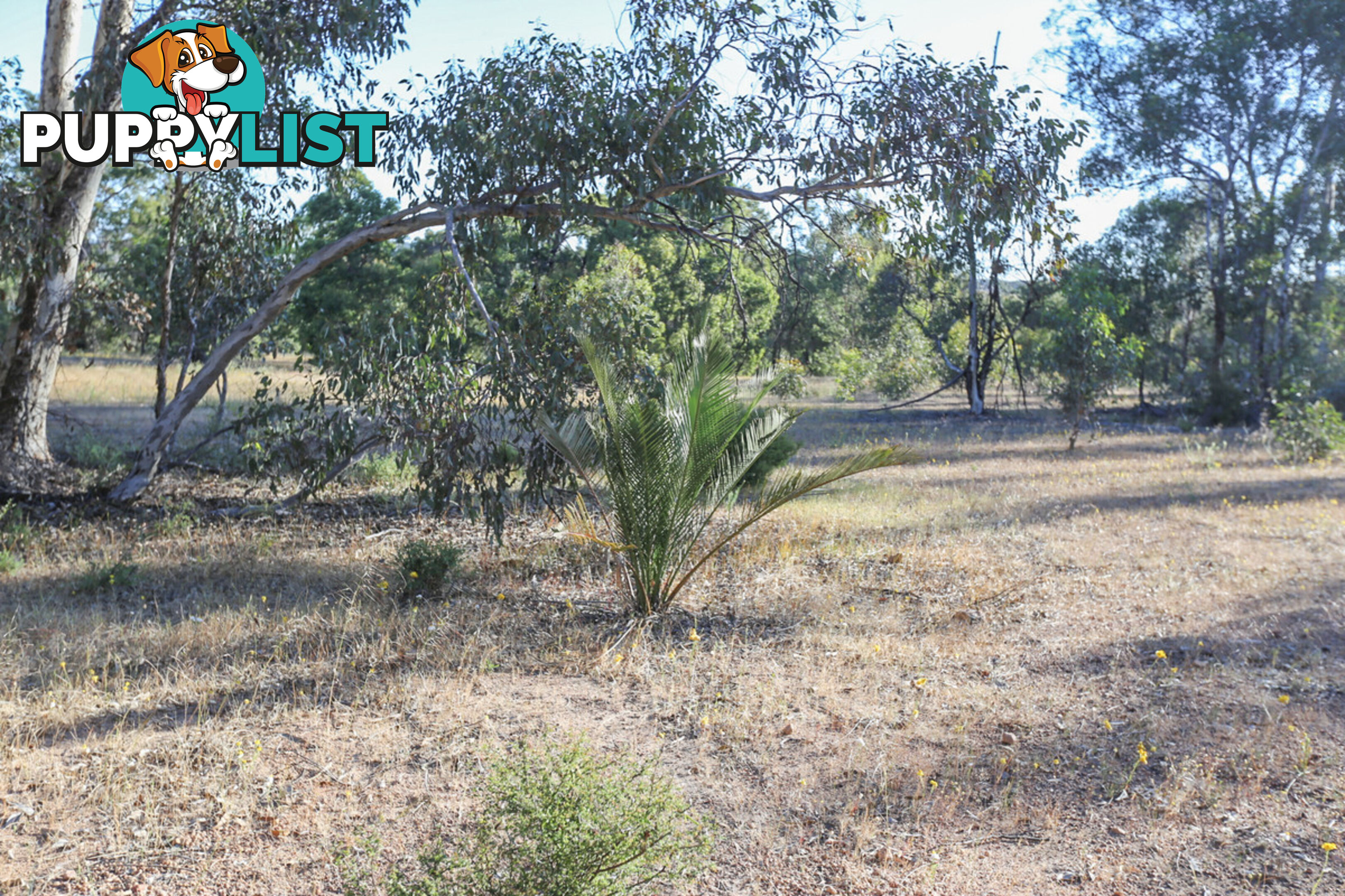 1076 Julimar Road West Toodyay WA 6566