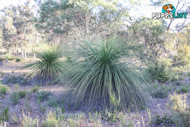 1076 Julimar Road West Toodyay WA 6566