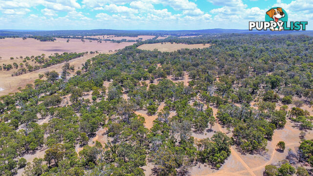 1076 Julimar Road West Toodyay WA 6566