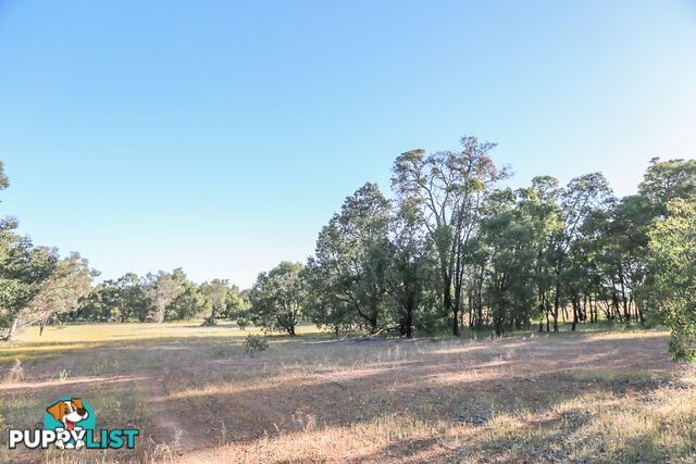 1076 Julimar Road West Toodyay WA 6566