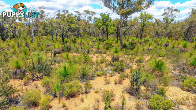 1076 Julimar Road West Toodyay WA 6566