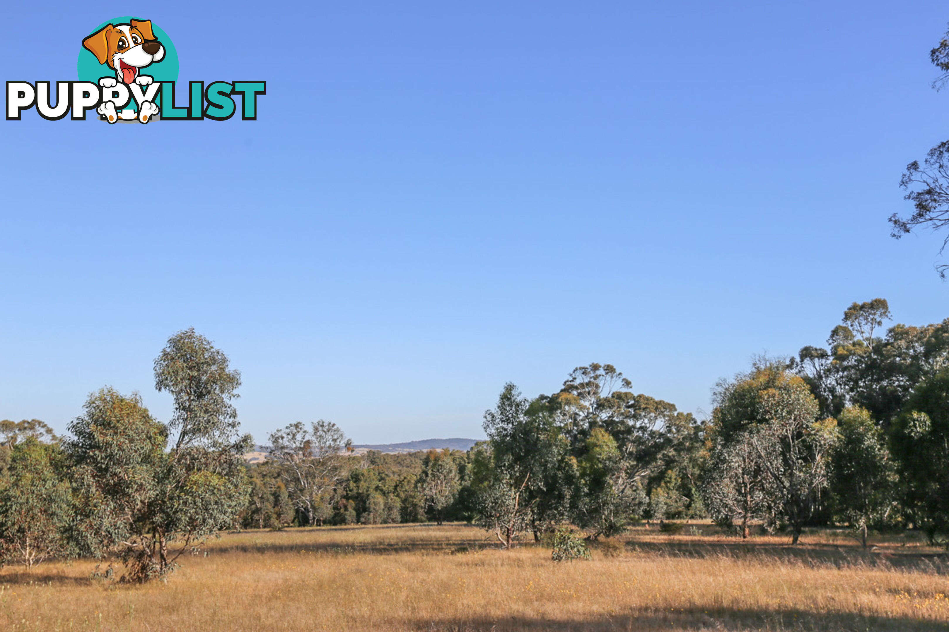 1076 Julimar Road West Toodyay WA 6566