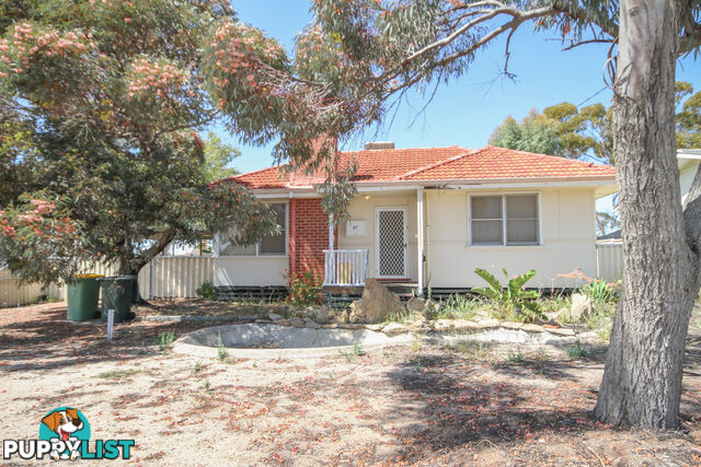 87 Caw Street Merredin WA 6415