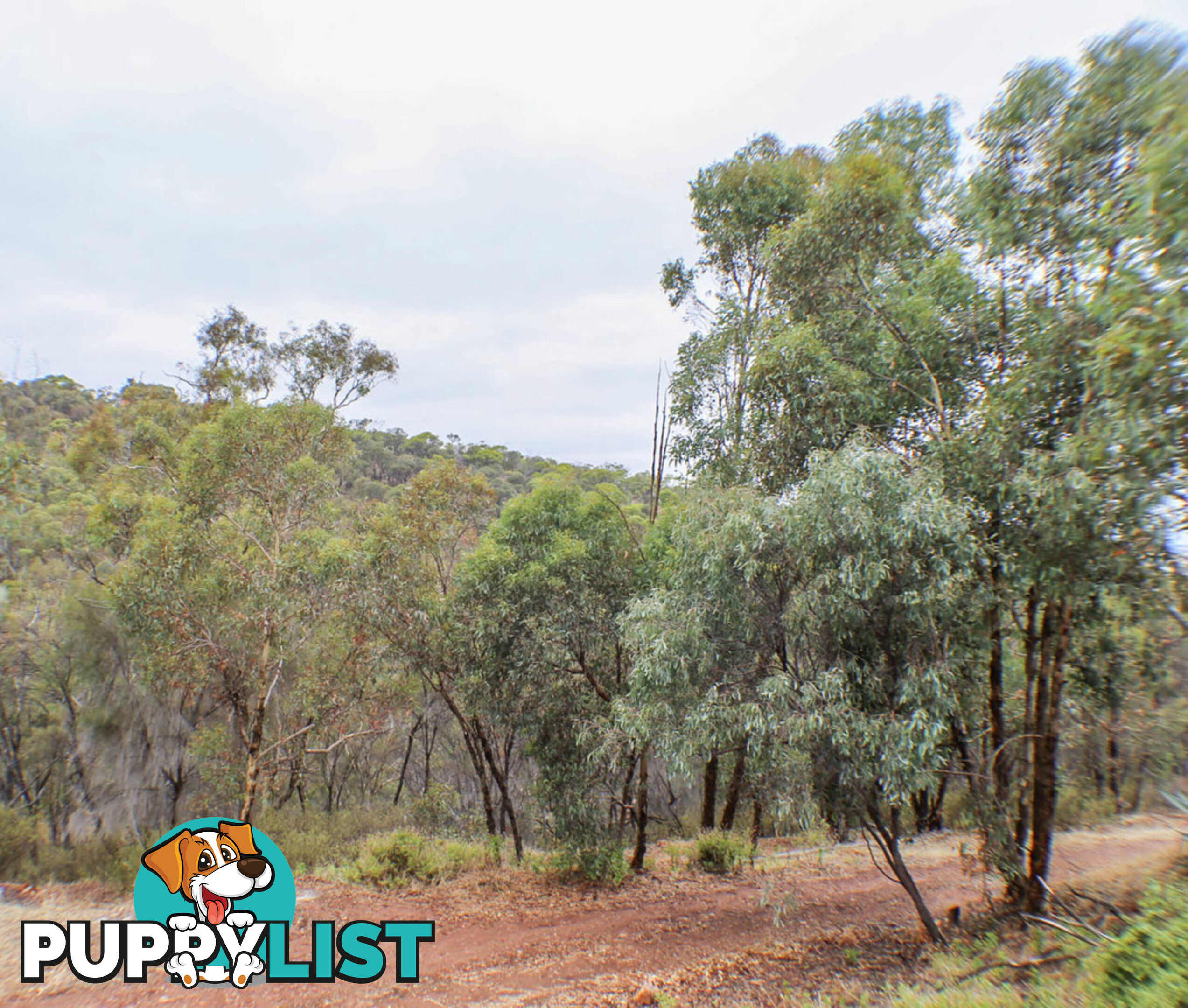 79 Dreyer Road TOODYAY WA 6566