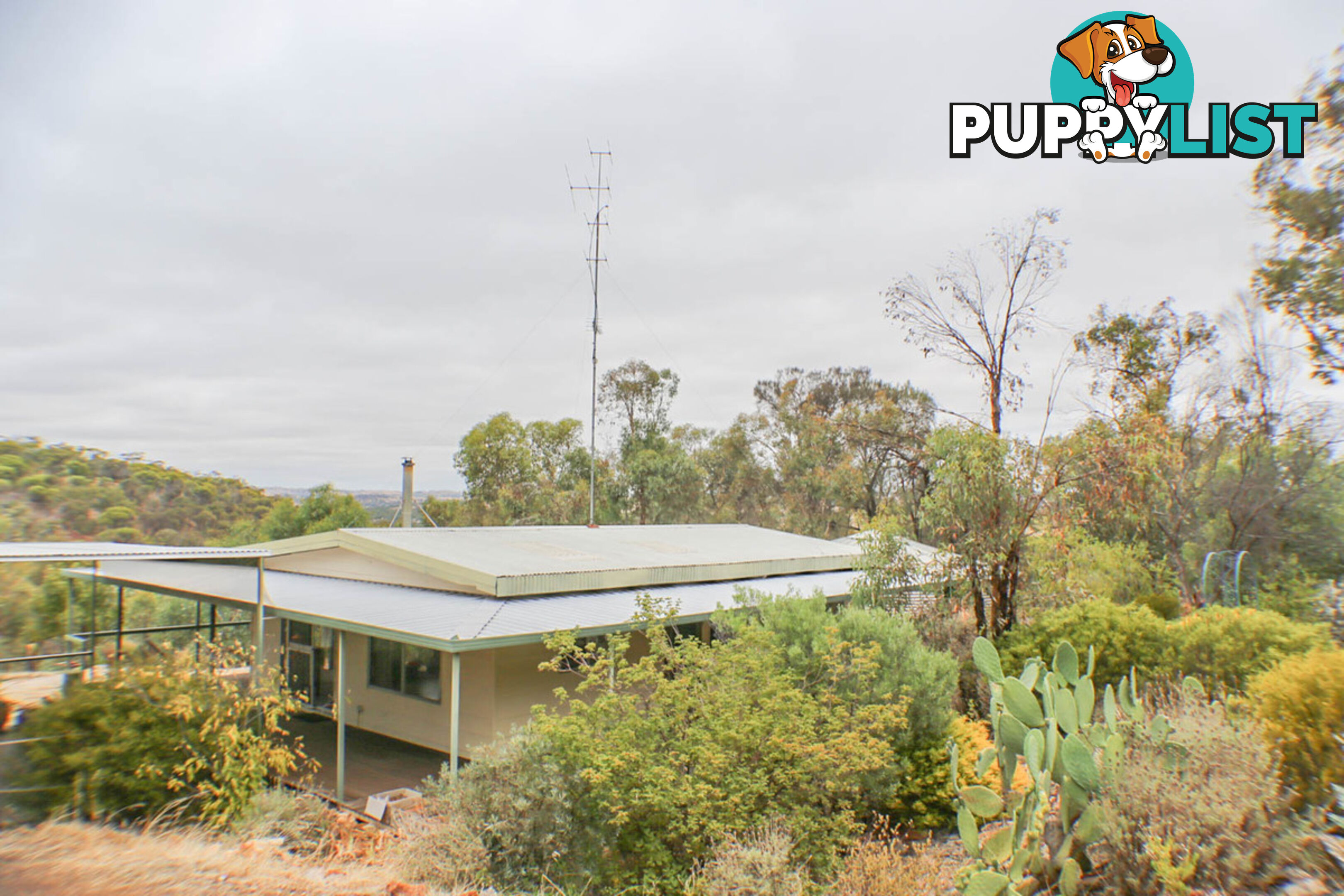 79 Dreyer Road TOODYAY WA 6566