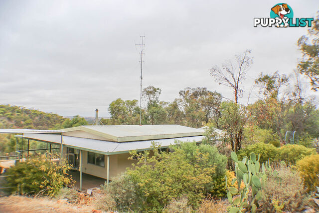 79 Dreyer Road TOODYAY WA 6566