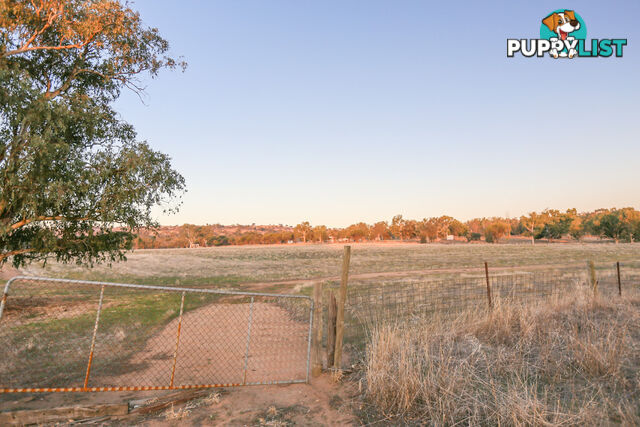 12 55 Link Road, Dumbarton Toodyay WA 6566