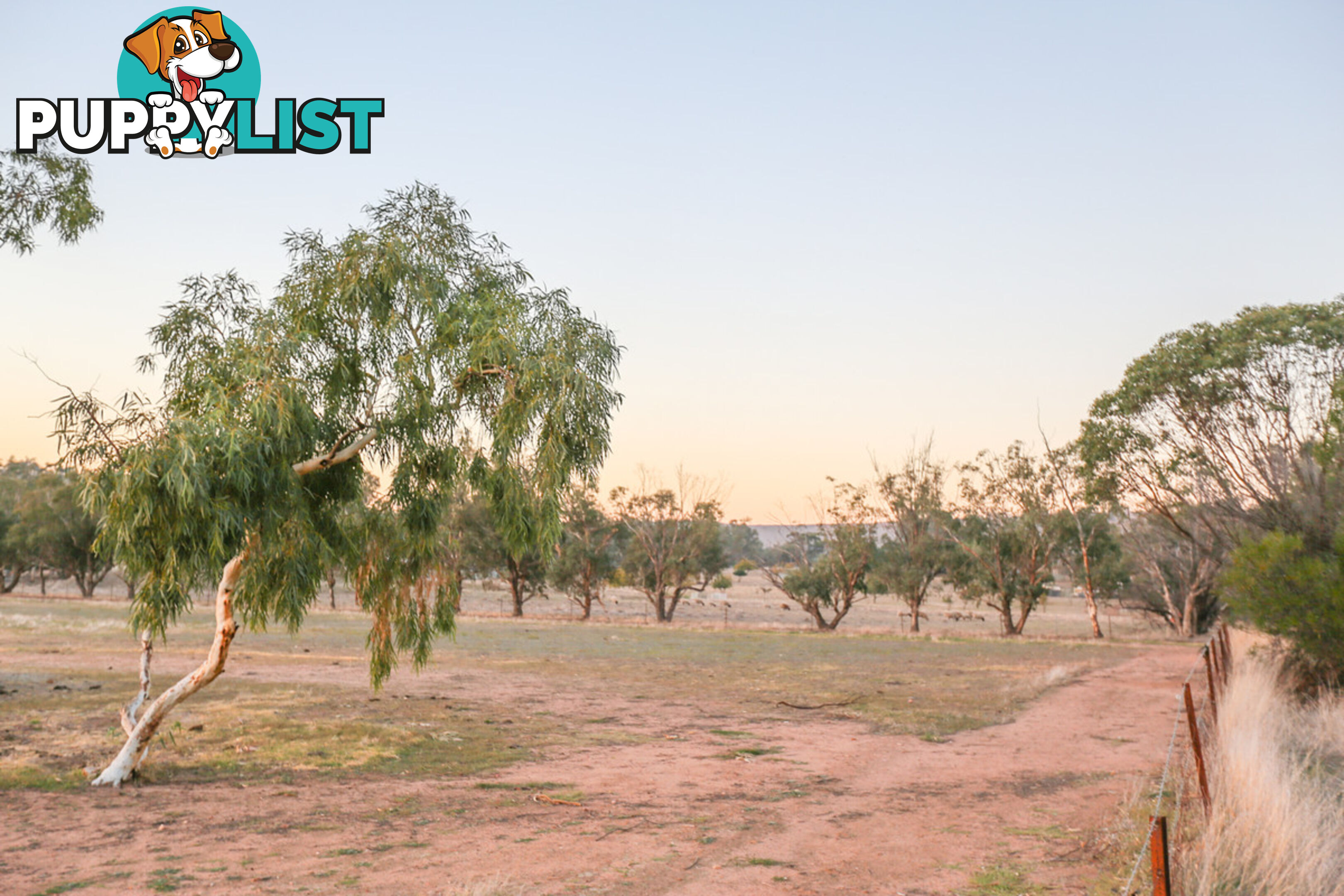 12 55 Link Road, Dumbarton Toodyay WA 6566