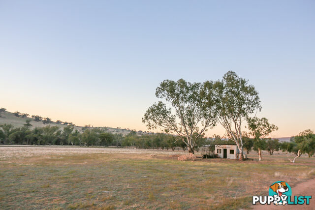 12 55 Link Road, Dumbarton Toodyay WA 6566