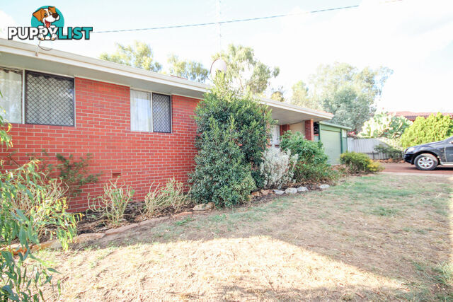 12 Clarkson Street Northam WA 6401