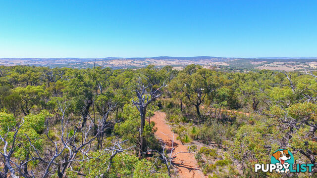 120 Ridley Circle Toodyay WA 6566