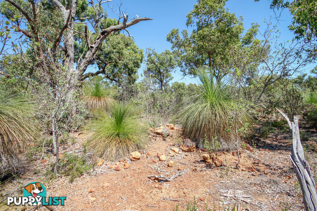 120 Ridley Circle Toodyay WA 6566