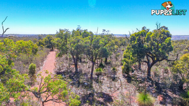 120 Ridley Circle Toodyay WA 6566