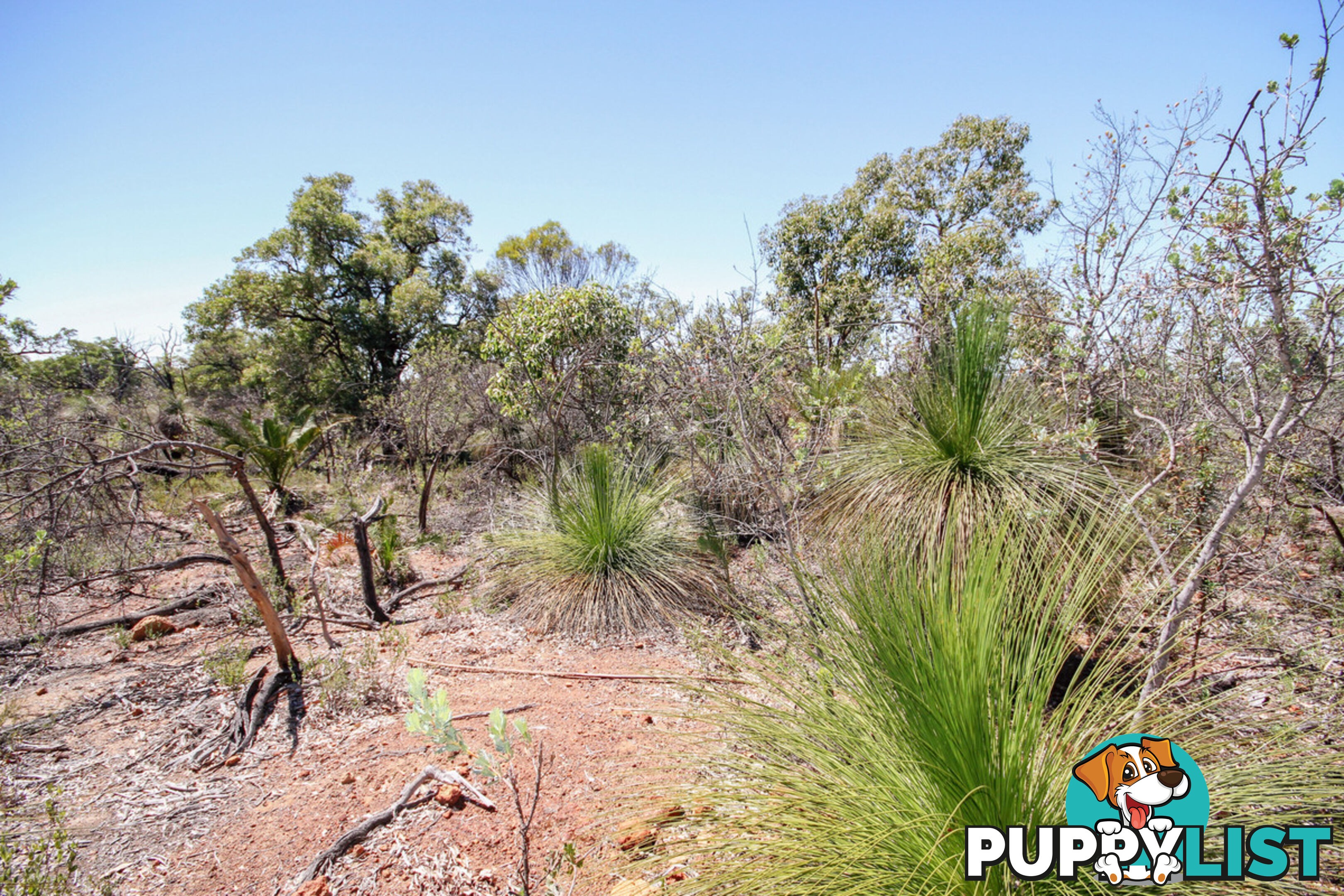 120 Ridley Circle Toodyay WA 6566