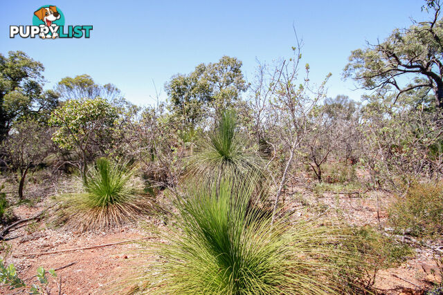 120 Ridley Circle Toodyay WA 6566