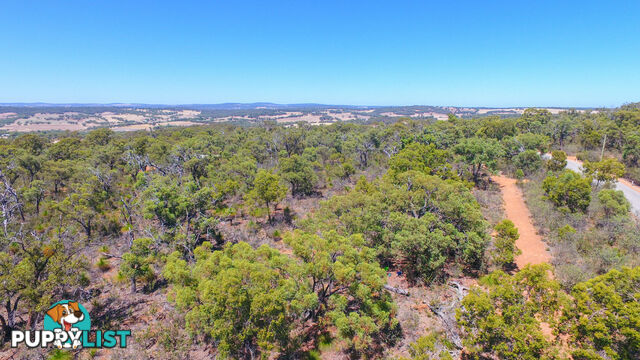 120 Ridley Circle Toodyay WA 6566