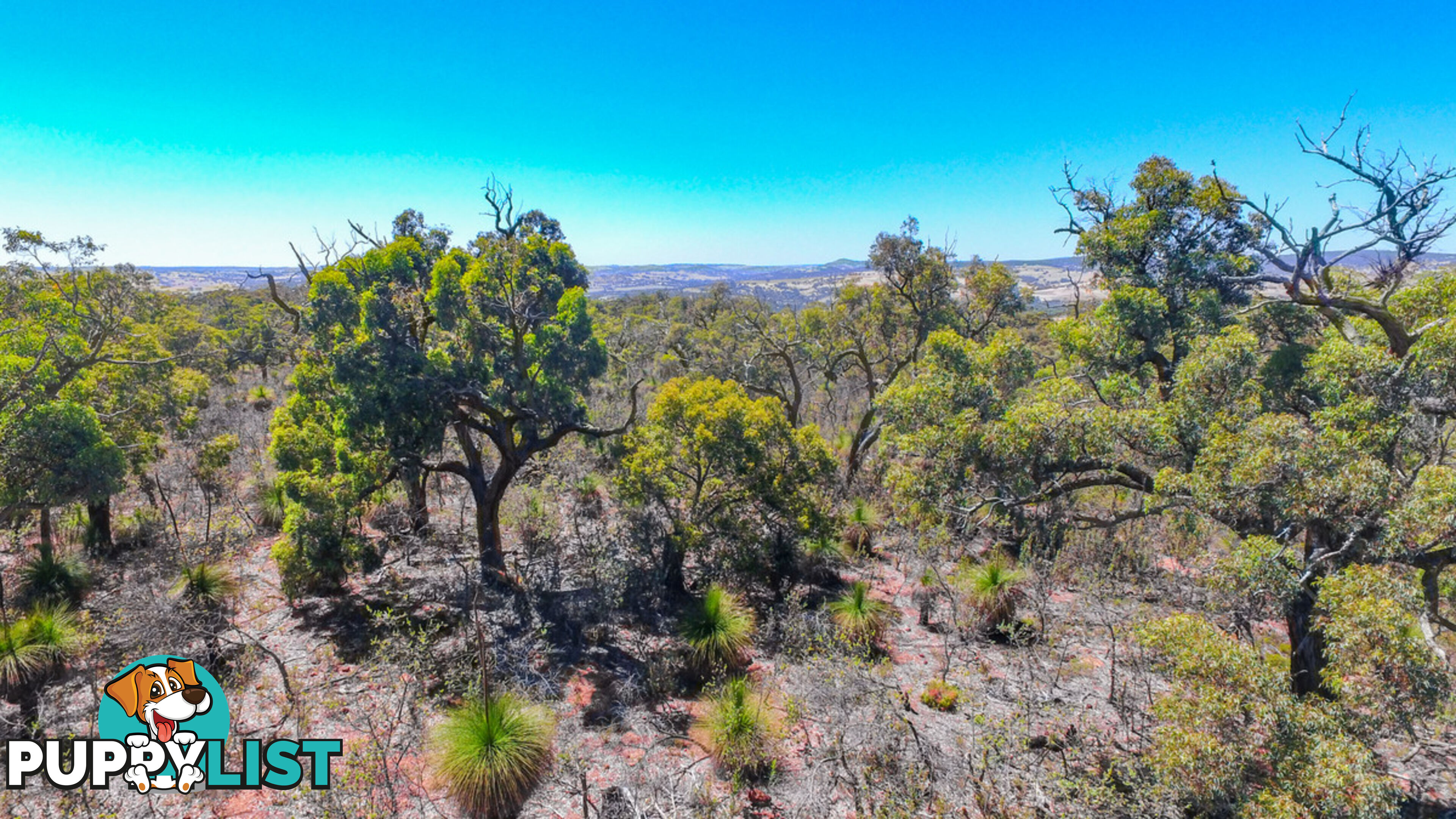 120 Ridley Circle Toodyay WA 6566