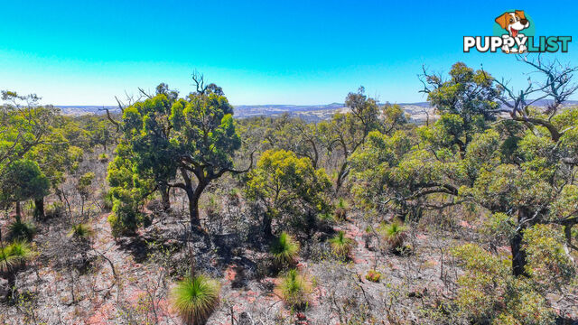 120 Ridley Circle Toodyay WA 6566