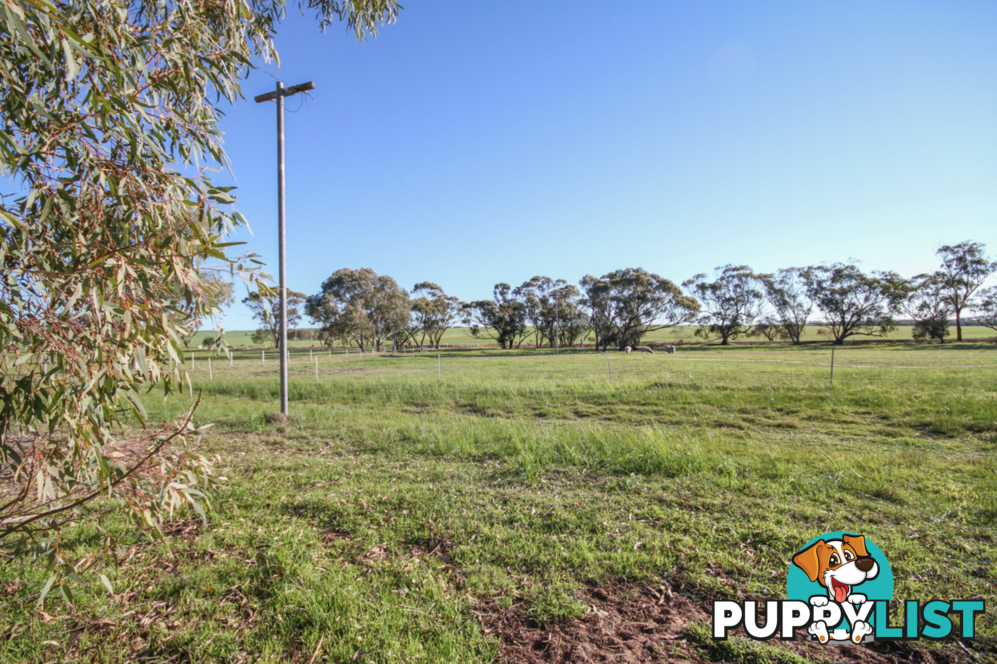 409 Northam-York Road Muluckine WA 6401