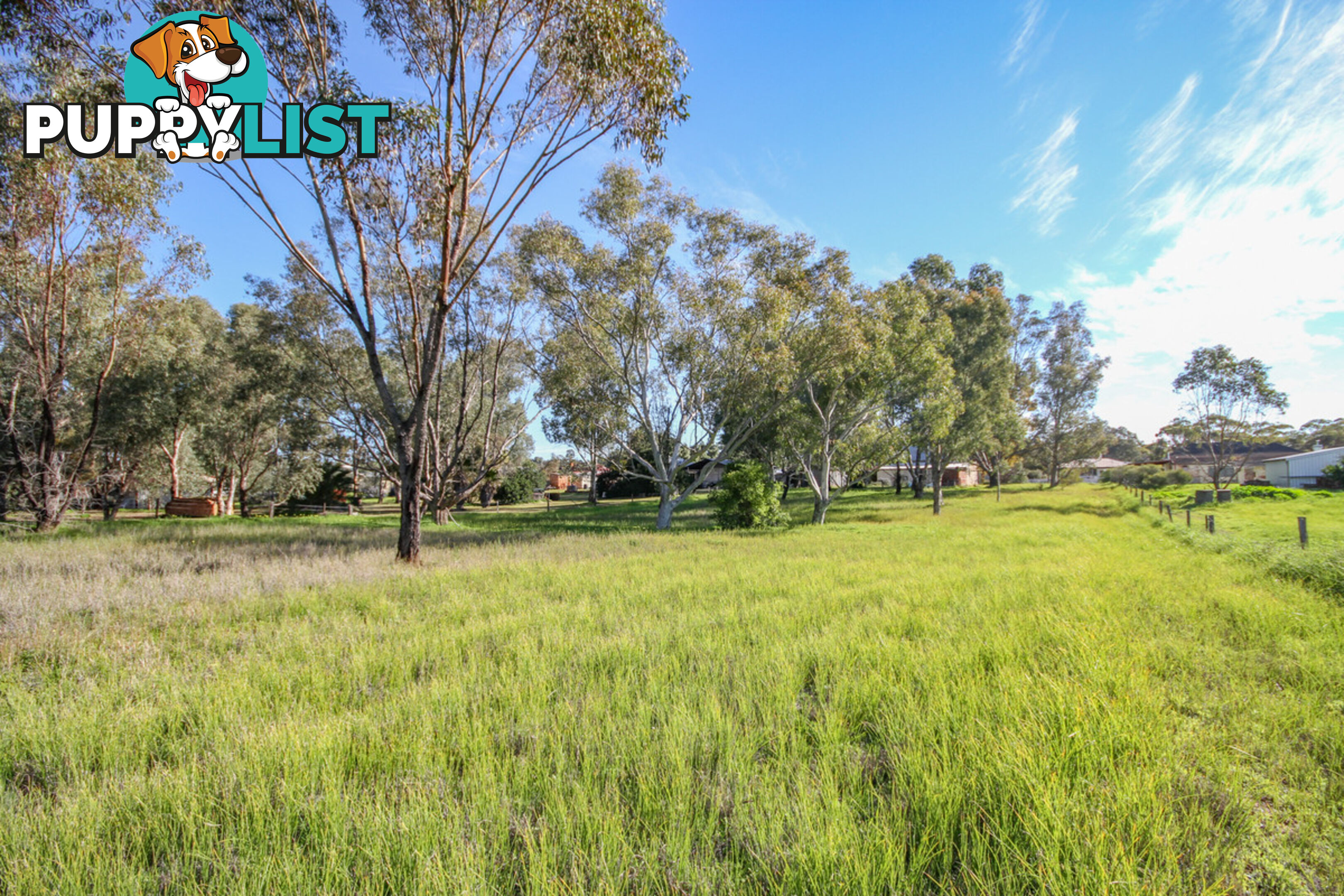 236 Avon Terrace York WA 6302