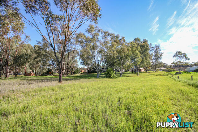 236 Avon Terrace York WA 6302