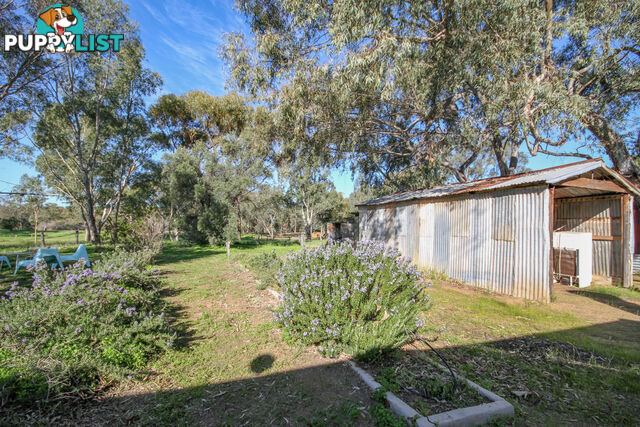 236 Avon Terrace York WA 6302