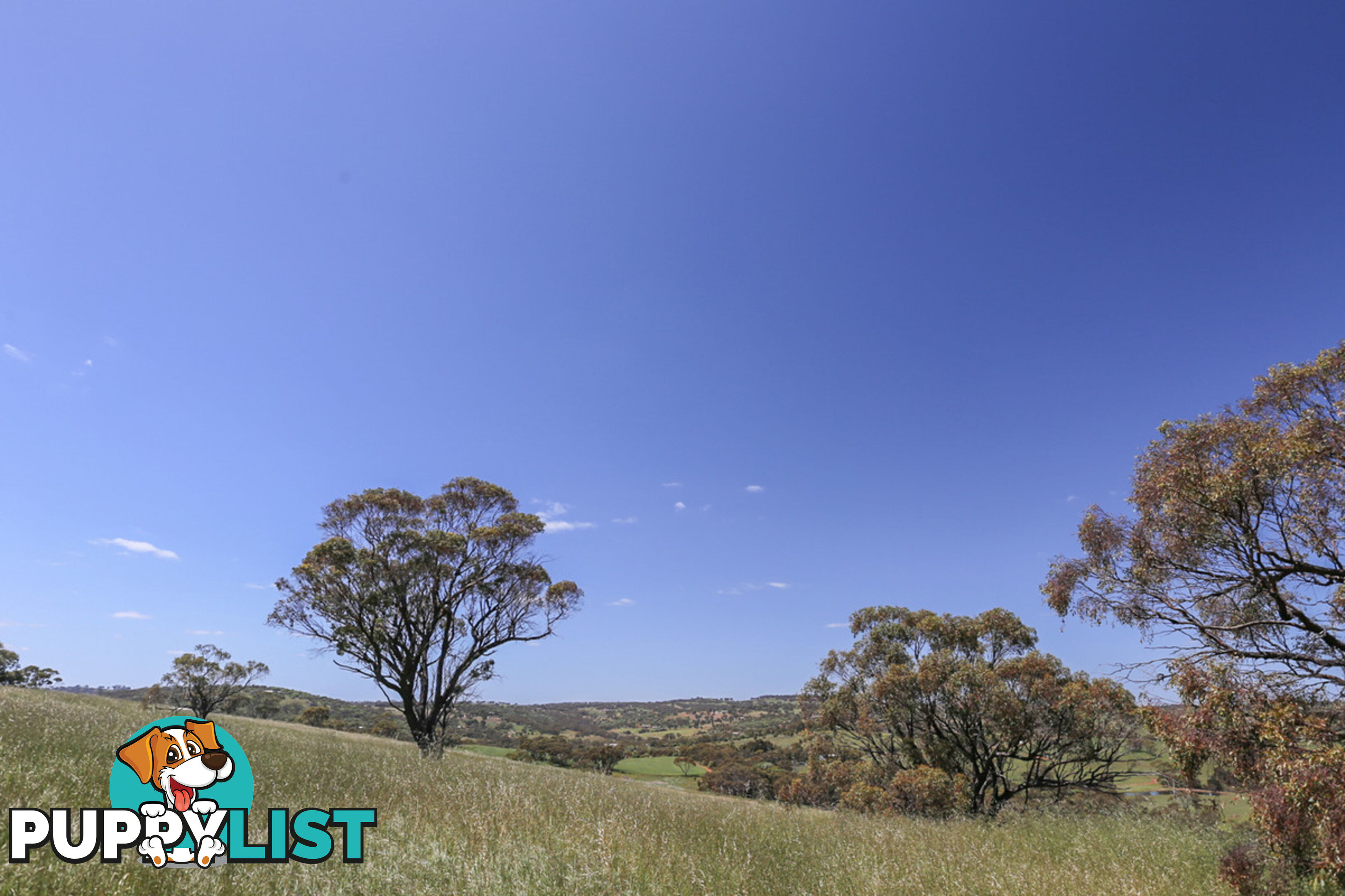 140 Coondle West Road, Coondle Toodyay WA 6566