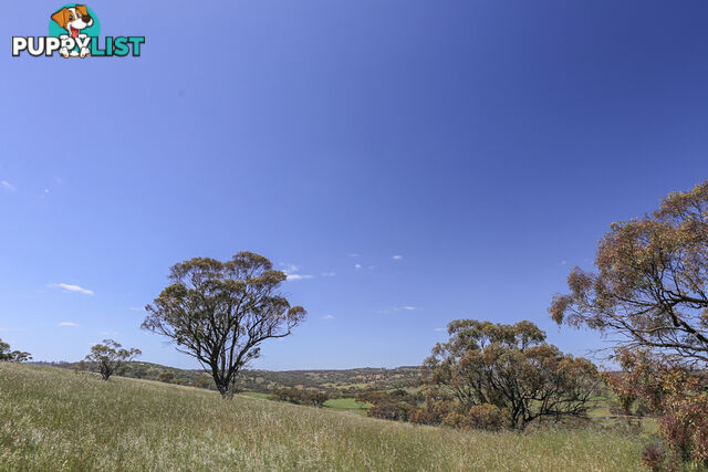 140 Coondle West Road, Coondle Toodyay WA 6566