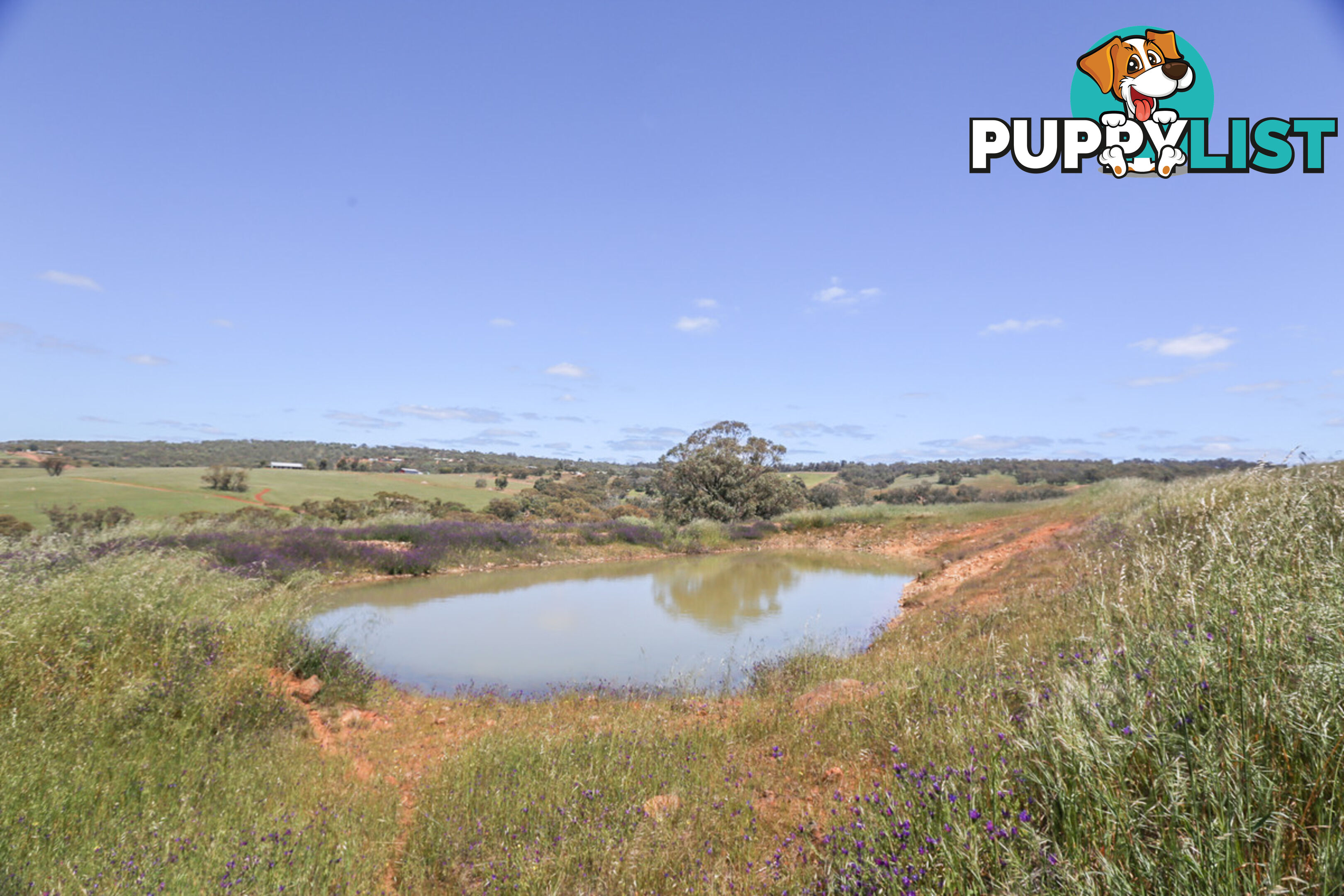 140 Coondle West Road, Coondle Toodyay WA 6566