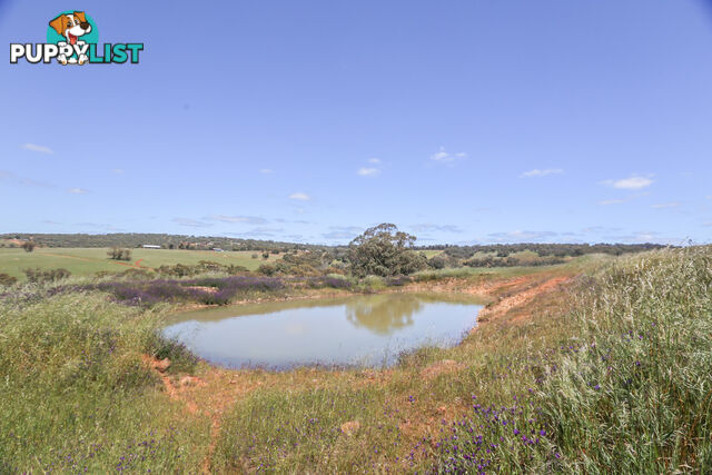 140 Coondle West Road, Coondle Toodyay WA 6566