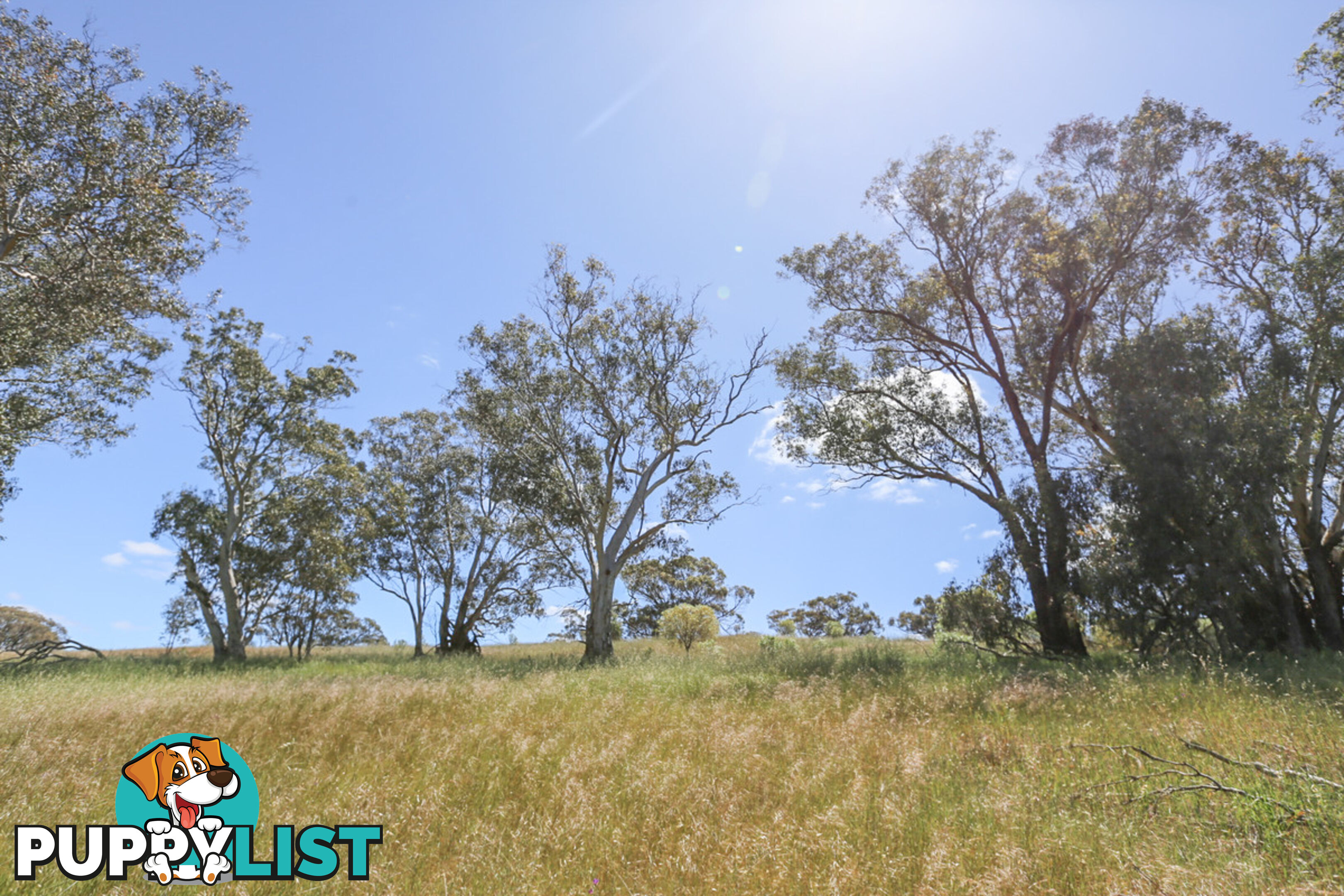 140 Coondle West Road, Coondle Toodyay WA 6566