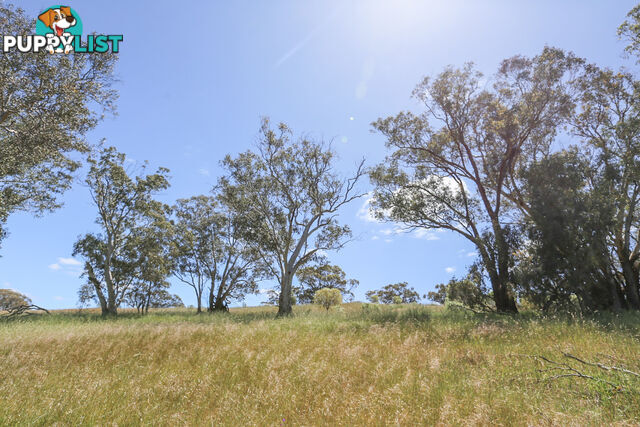 140 Coondle West Road, Coondle Toodyay WA 6566