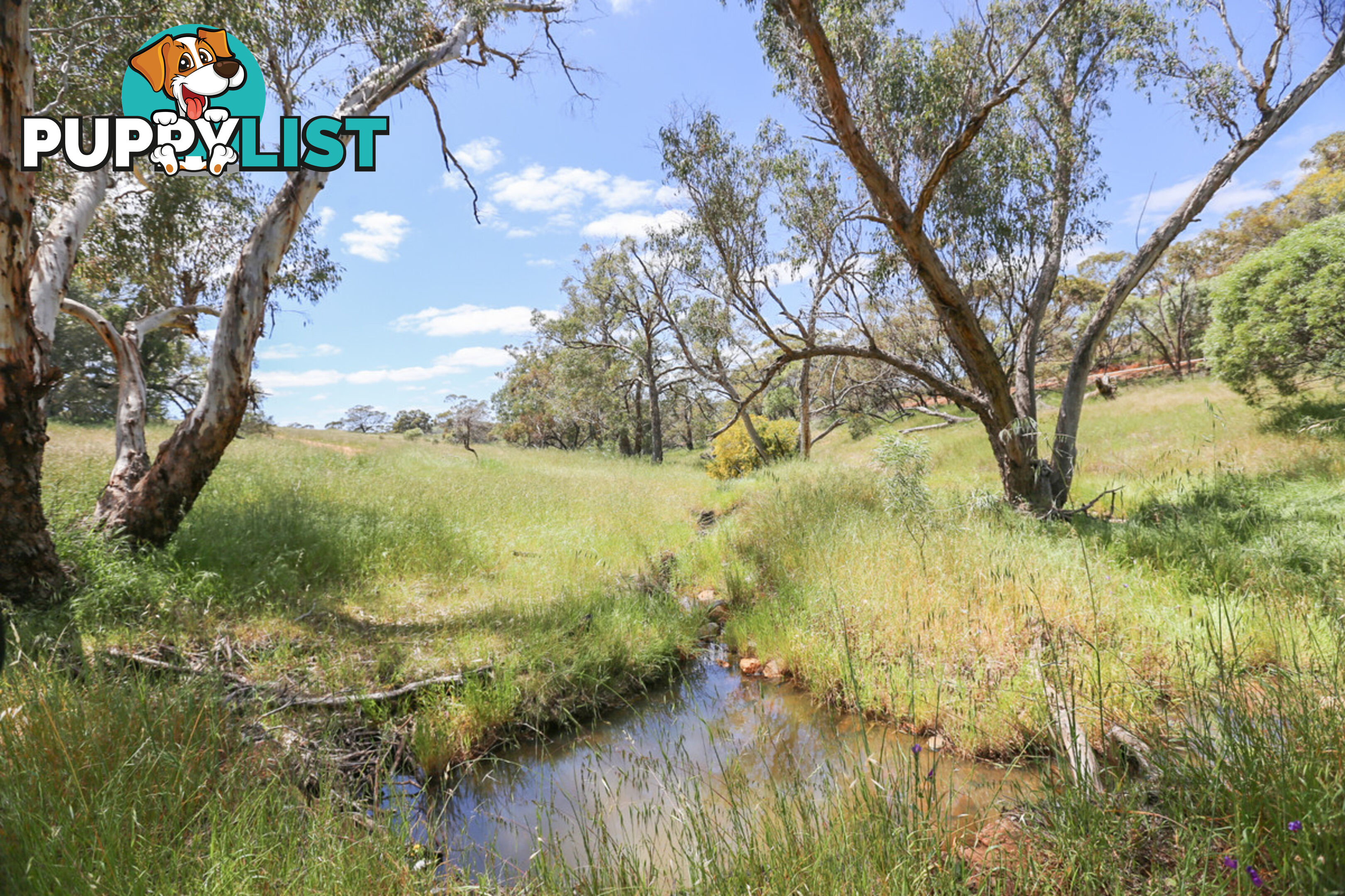 140 Coondle West Road, Coondle Toodyay WA 6566