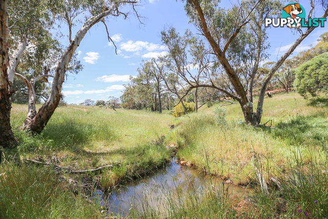 140 Coondle West Road, Coondle Toodyay WA 6566