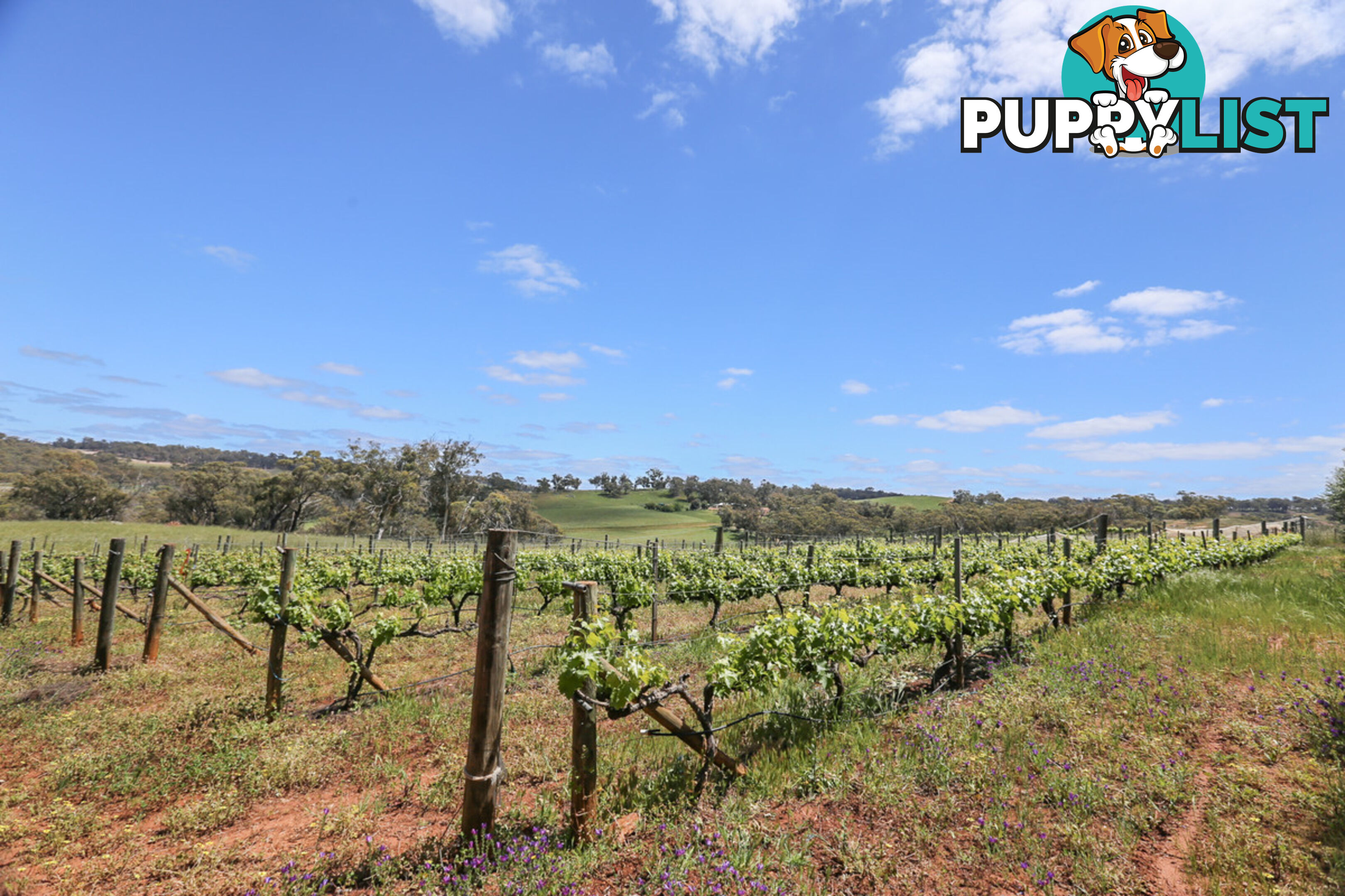 140 Coondle West Road, Coondle Toodyay WA 6566