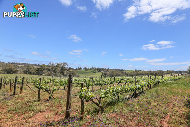 140 Coondle West Road, Coondle Toodyay WA 6566