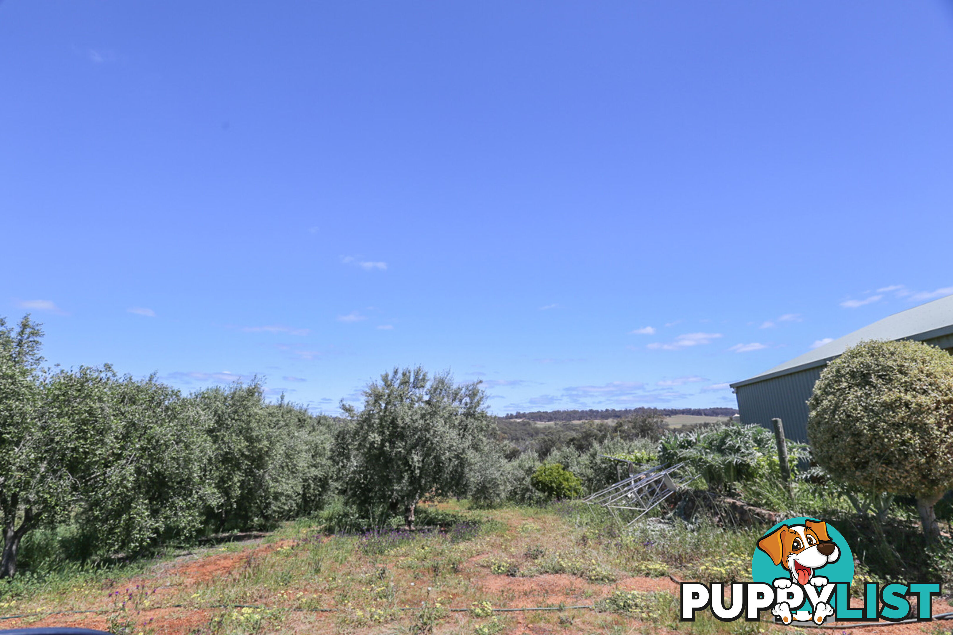 140 Coondle West Road, Coondle Toodyay WA 6566