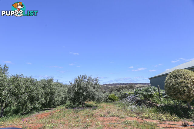 140 Coondle West Road, Coondle Toodyay WA 6566