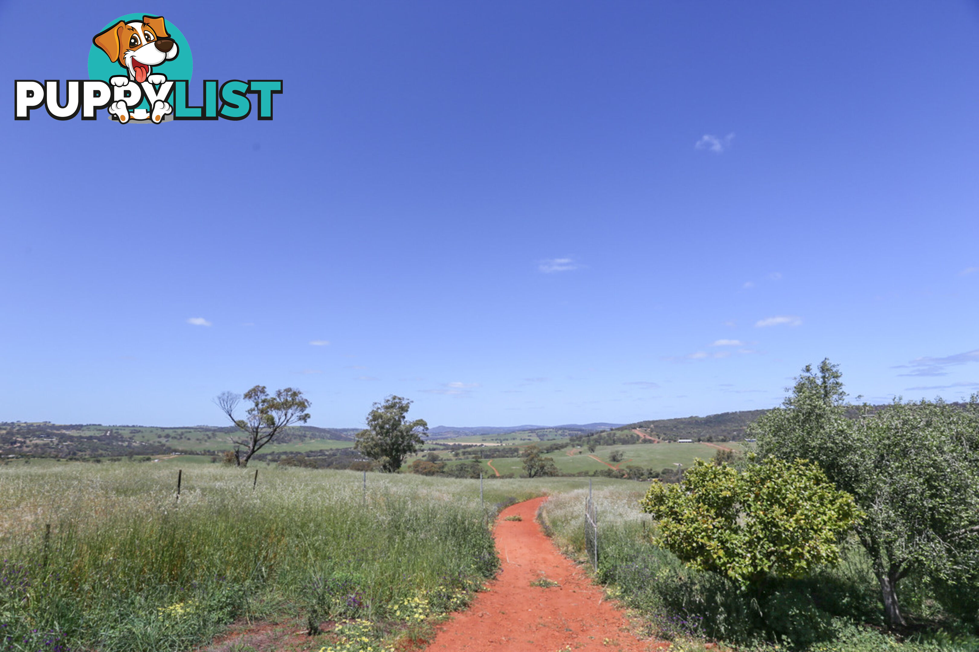 140 Coondle West Road, Coondle Toodyay WA 6566