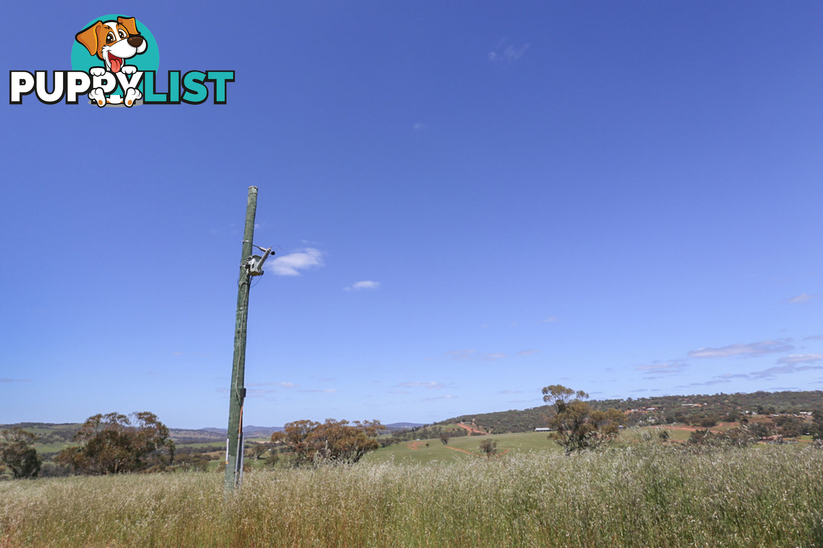 140 Coondle West Road, Coondle Toodyay WA 6566