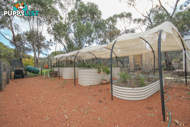 38 Lukin Road Clackline WA 6564