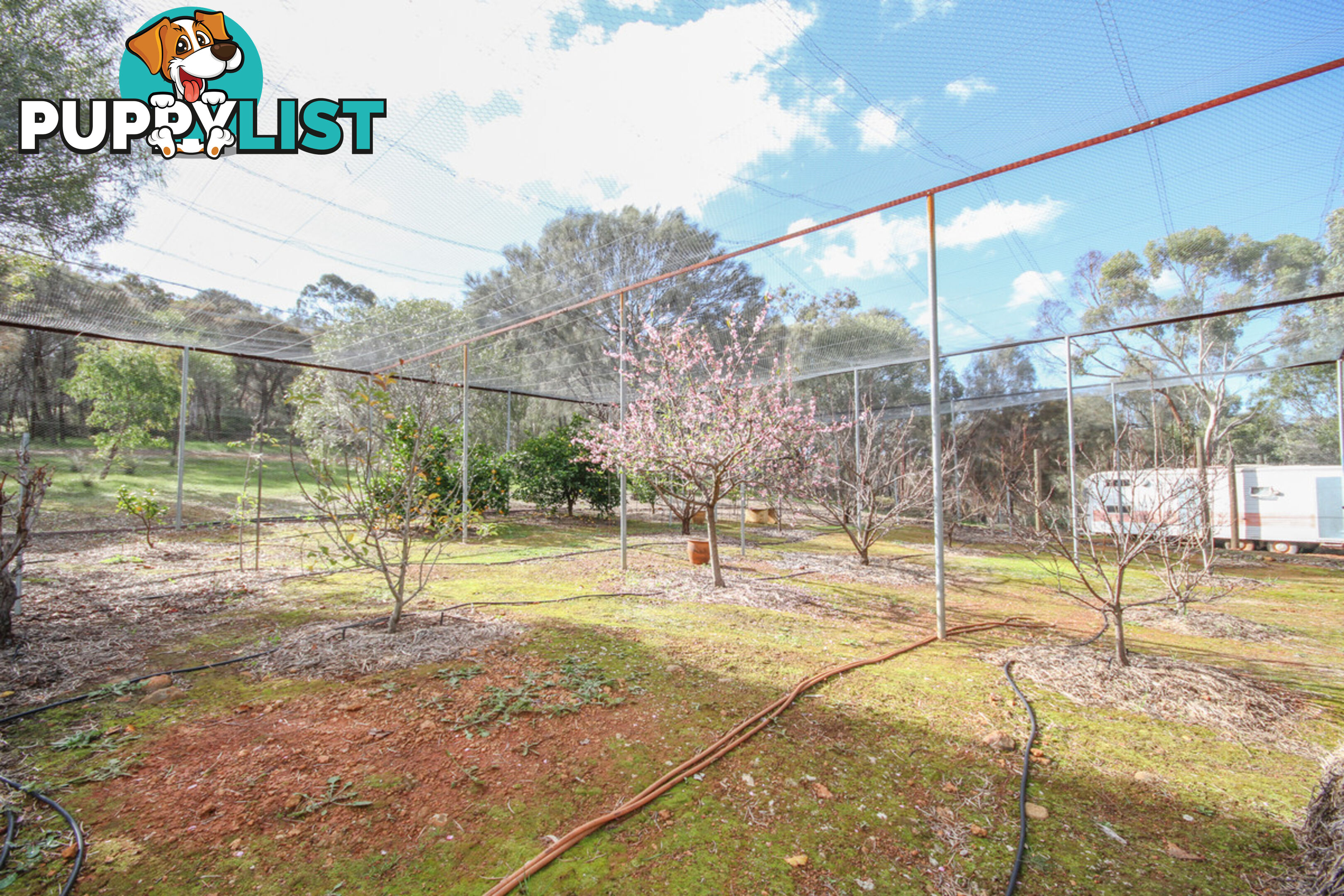 38 Lukin Road Clackline WA 6564