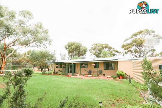 1451 Northam-Toodyay Road Toodyay WA 6566