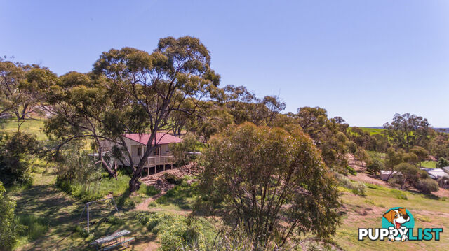 130 Folewood Road Toodyay WA 6566